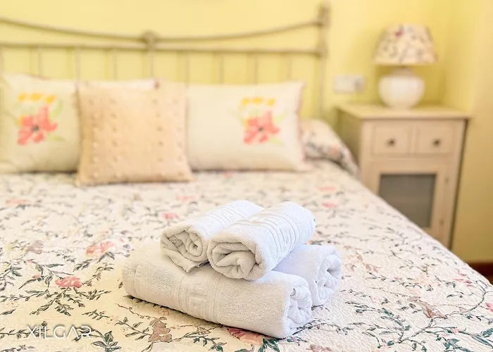 Xilgar - O Vimbieiro